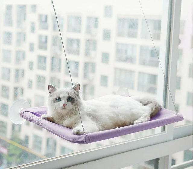 Cat Hanging Bed Shelf