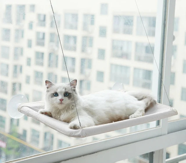 Cat Hanging Bed Shelf
