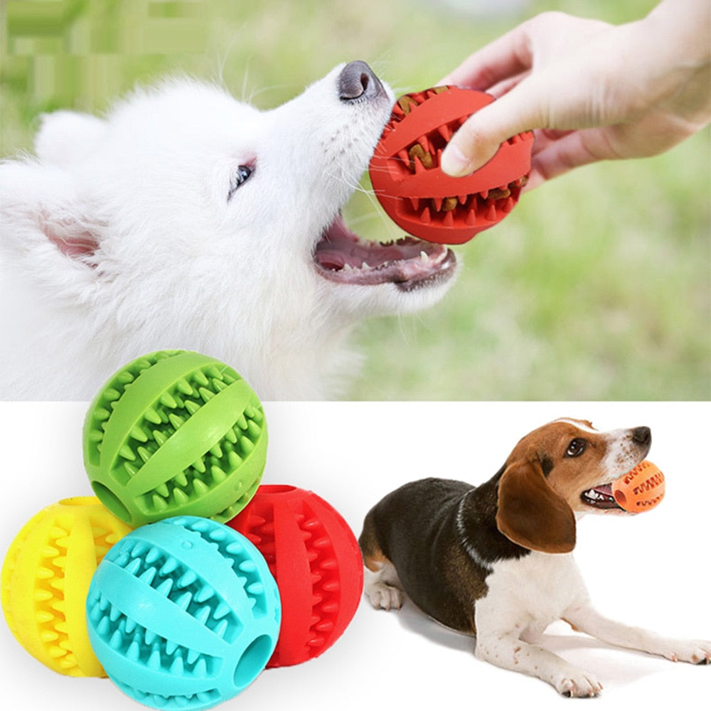 Rubber Ball Chewing Pet Toy