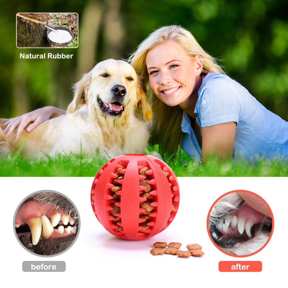 Rubber Ball Chewing Pet Toy
