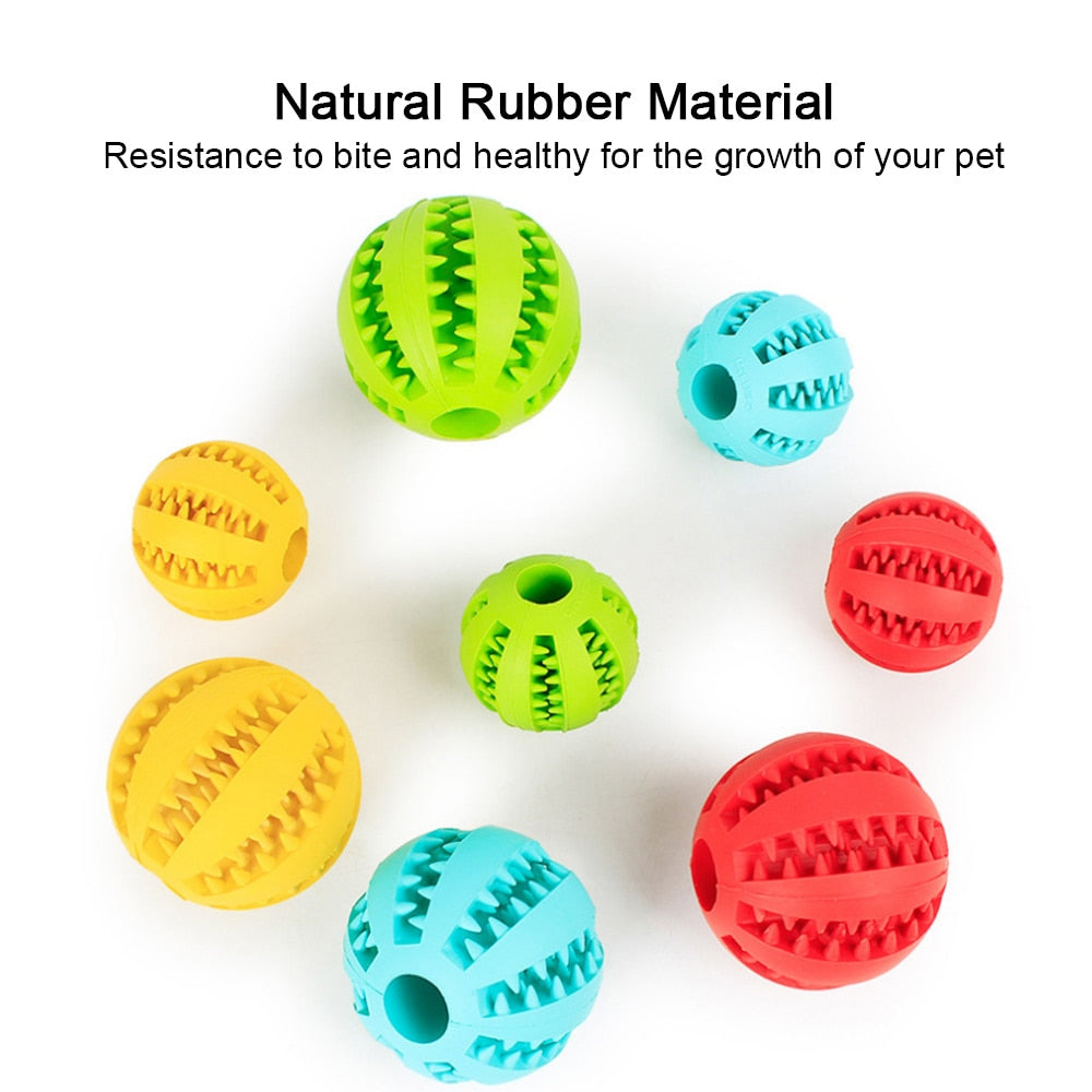 Rubber Ball Chewing Pet Toy