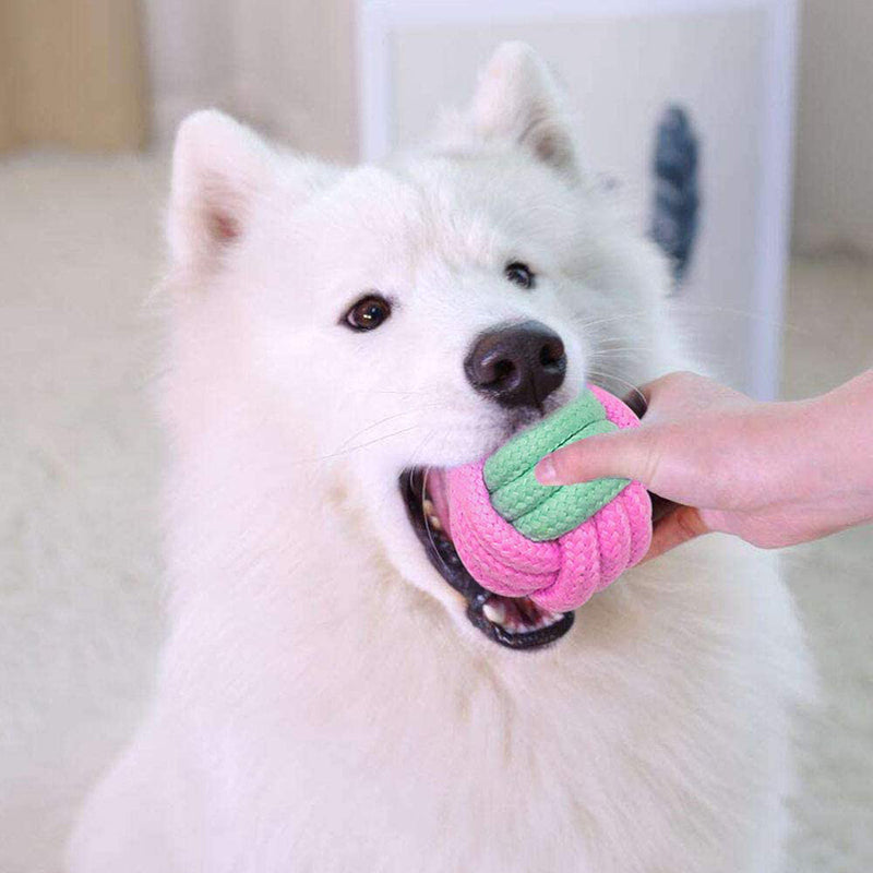 Pet Dog Chew Toy
