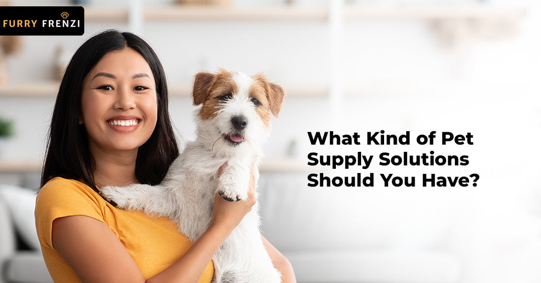 What Kind of Pet Supply Solutions Should You Have?