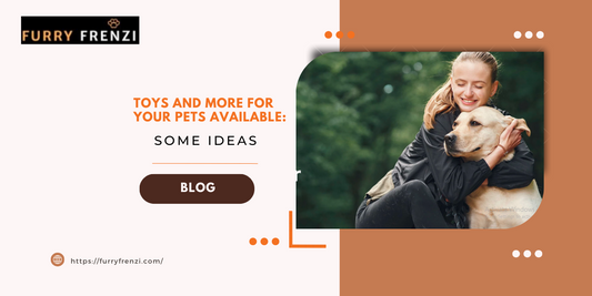 Toys And More for Your Pets Available: Some Ideas