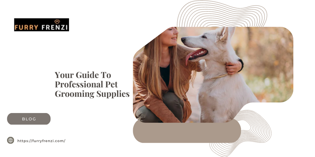 Your Guide To Professional Pet Grooming Supplies